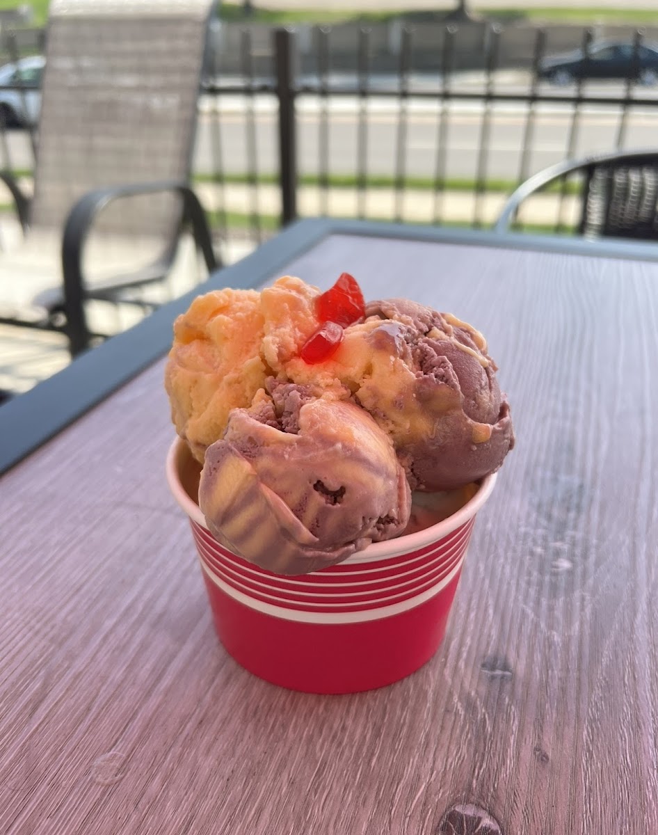 Patti's Ice Cream Photo 5