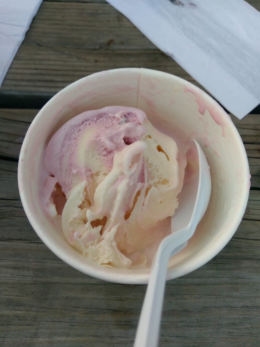 Patti's Ice Cream Photo 9