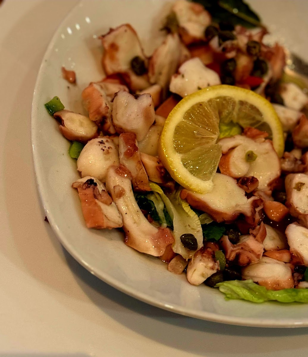 Laki im Club am Rhein e.V. Mediterrane Griechische Küche Photo 6