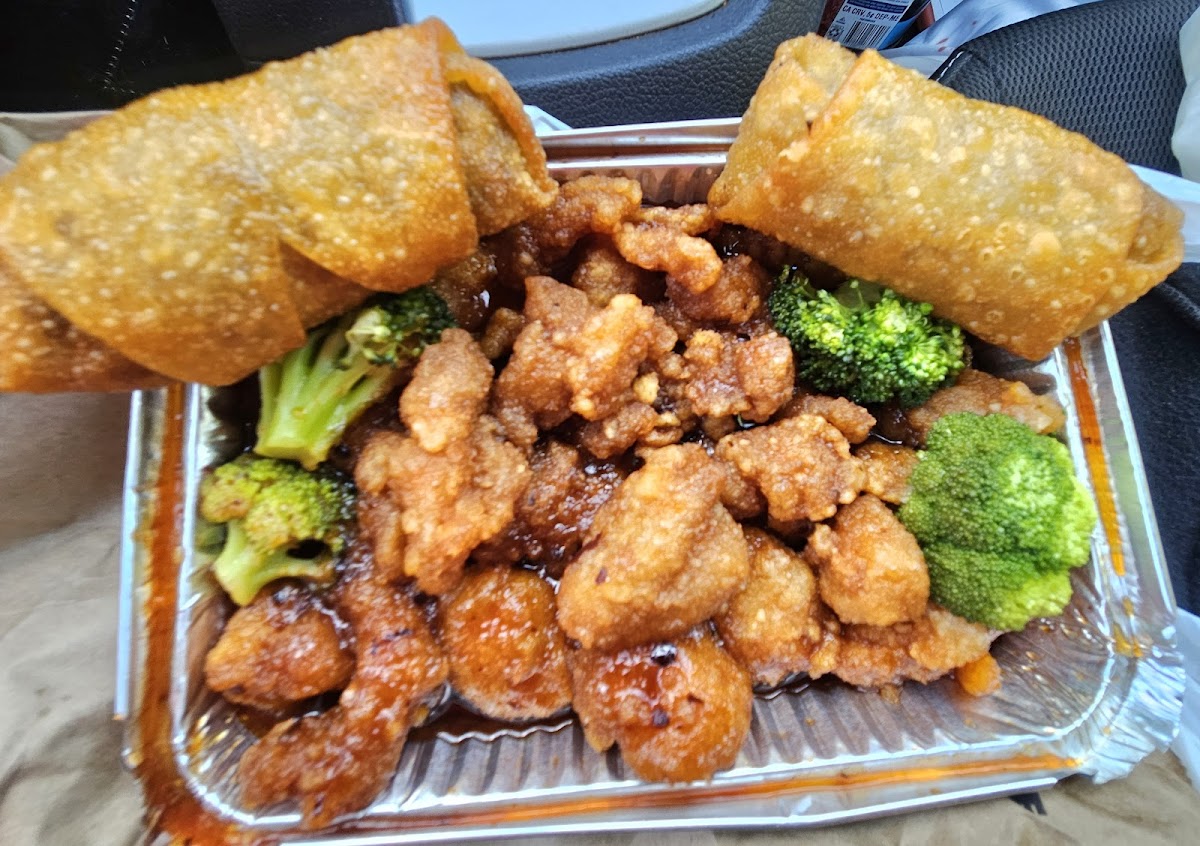 Panda Chinese Restaurant Photo 5