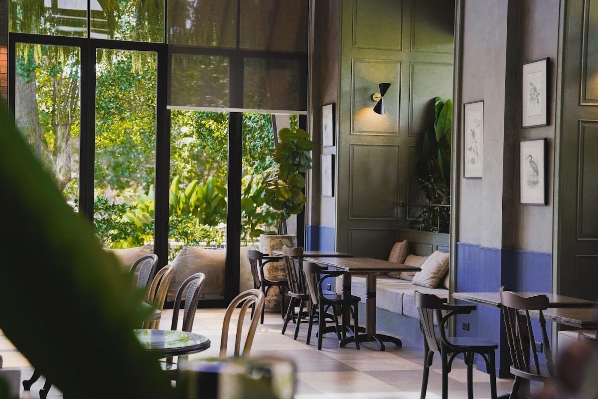 UForestscafe
