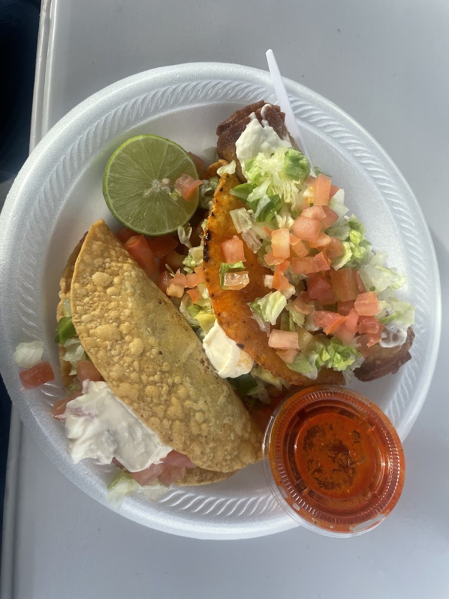 Taqueria Porfis Photo 3
