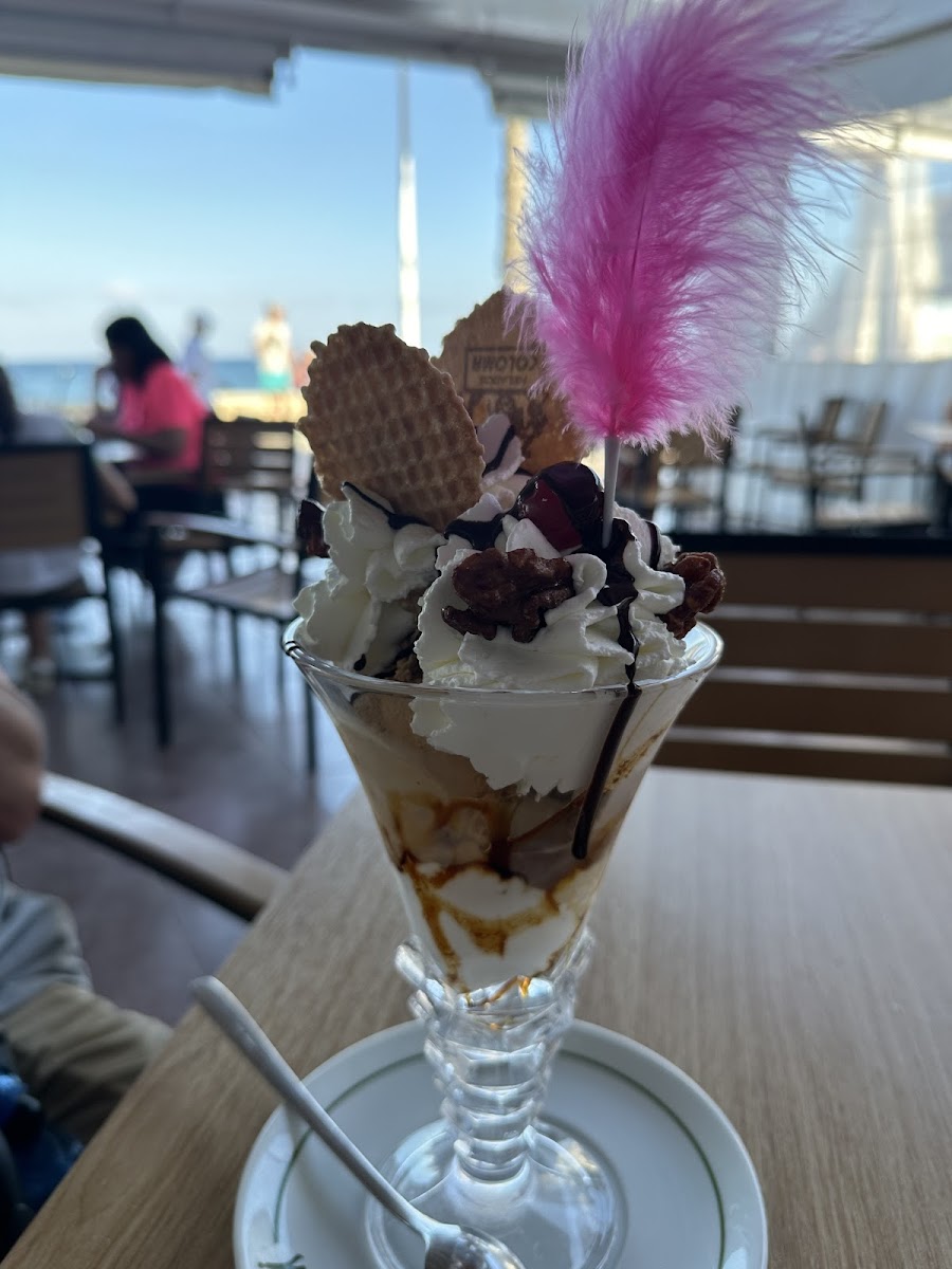 HELADOS Coloma. Photo 6