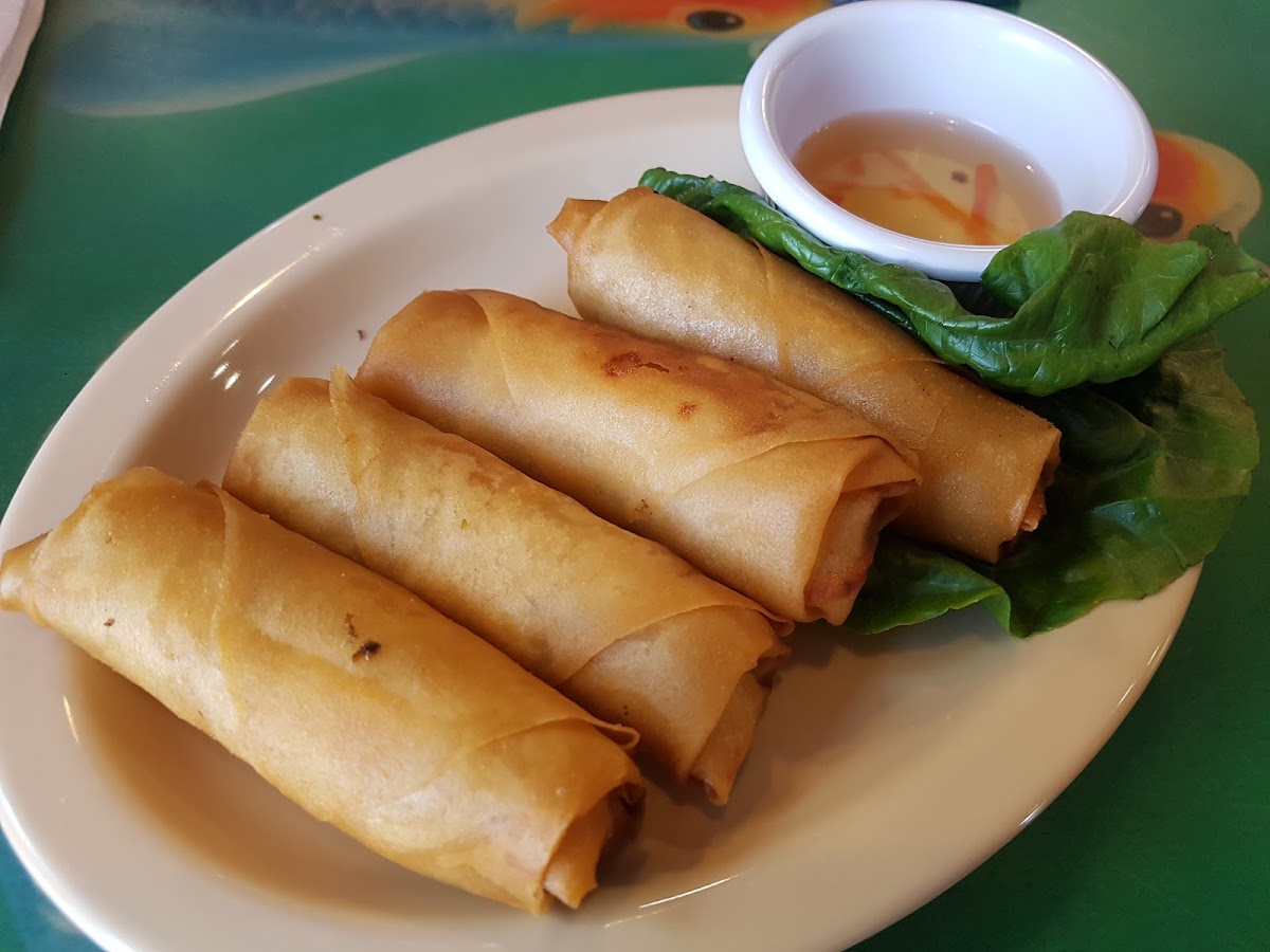 Phở Huong Vietnamese Restaurant Photo 10