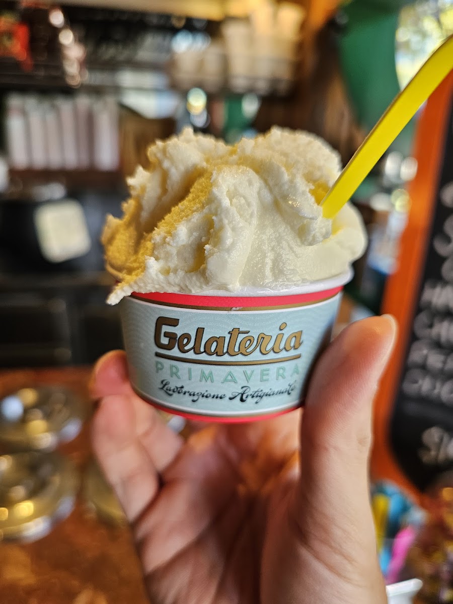 Gelateria Primavera Photo 6