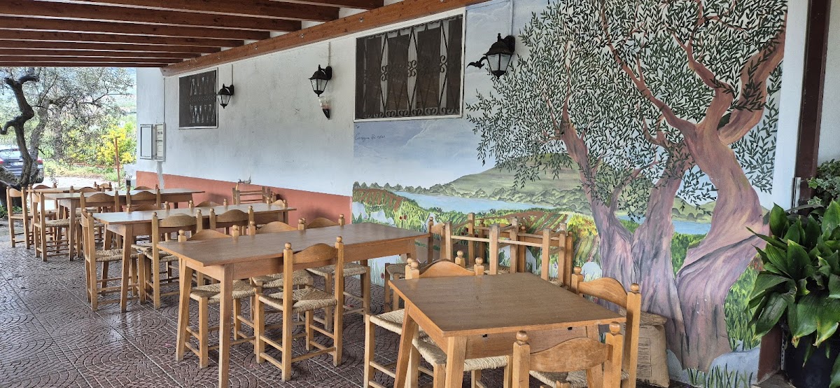 Trattoria Dell'ulivo Photo 3
