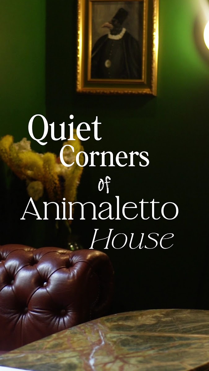 Animaletto House Photo 2