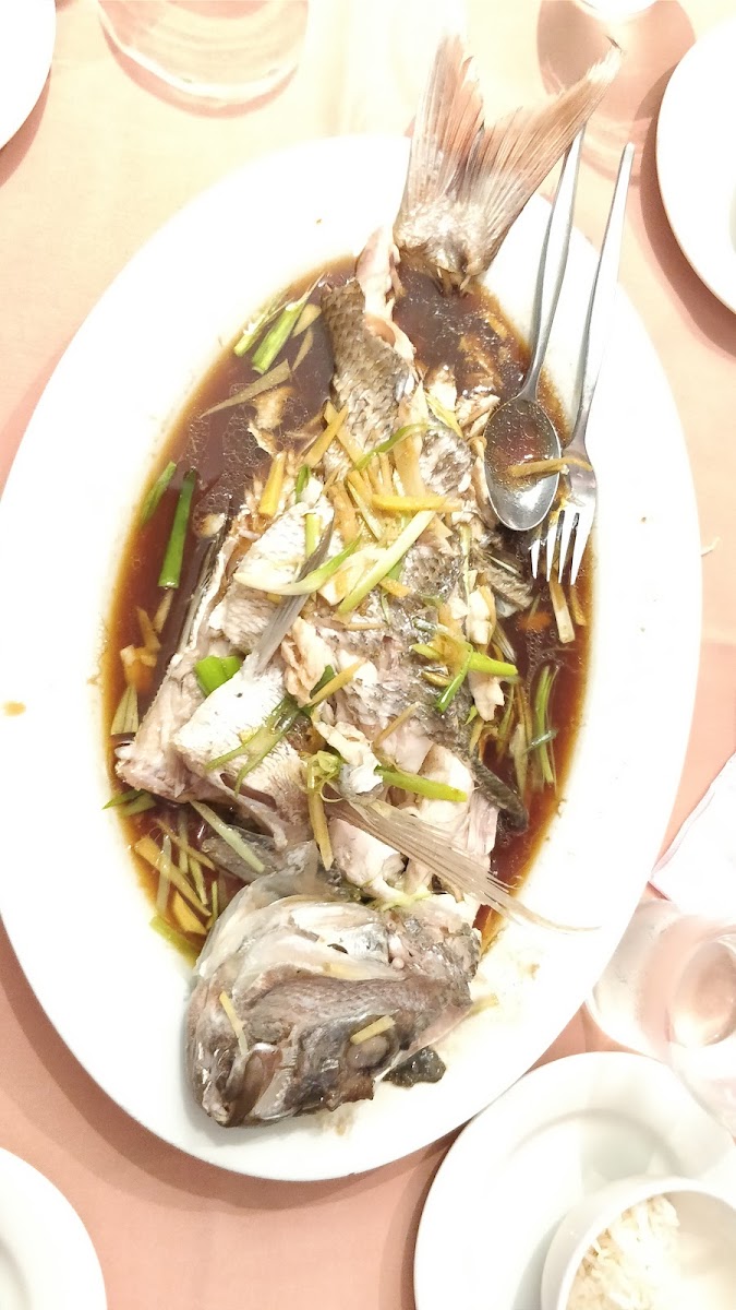 Bambusia Chinese Restaurant Photo 8
