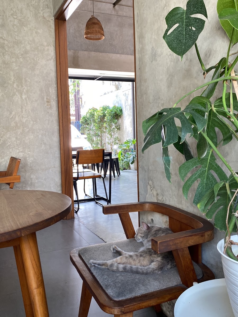 Massuka Coffee and Eatery Photo 4