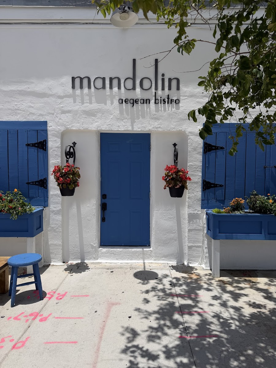 Mr.Mandolin