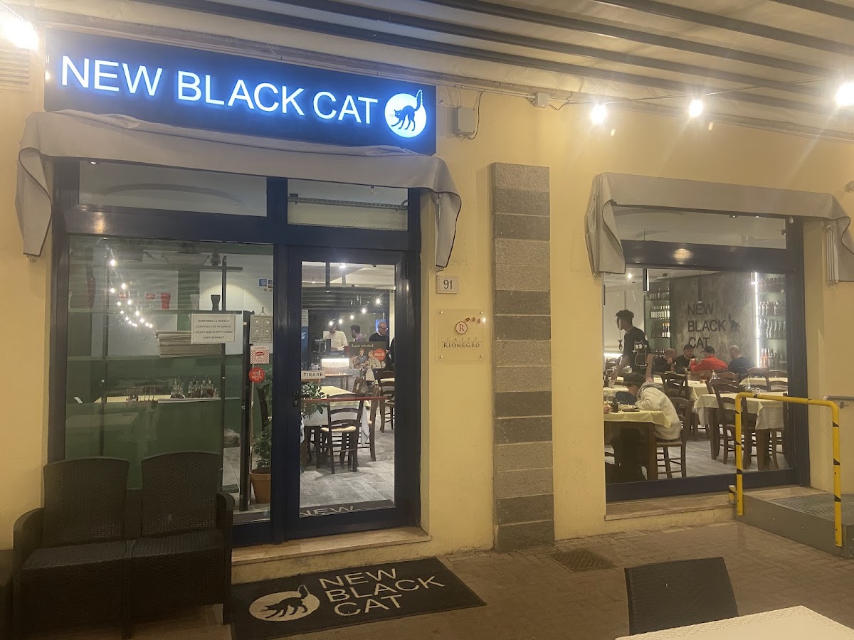 New Black Cat