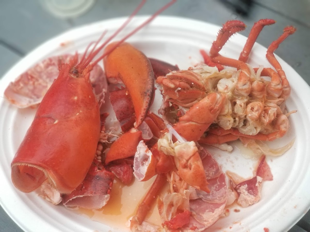 MDI Lobster & BBQ Photo 10