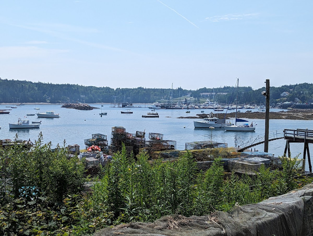 MDI Lobster & BBQ Photo 3