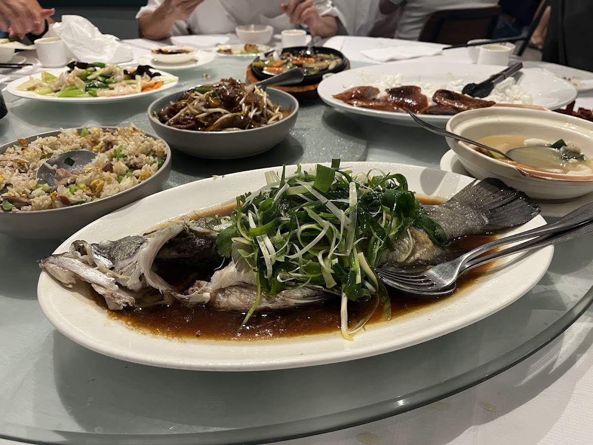 Shiqi Restaurant 喜相逢 Photo 10
