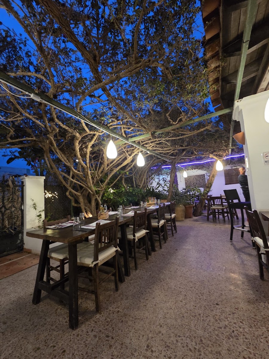 Restaurant Magon Photo 3