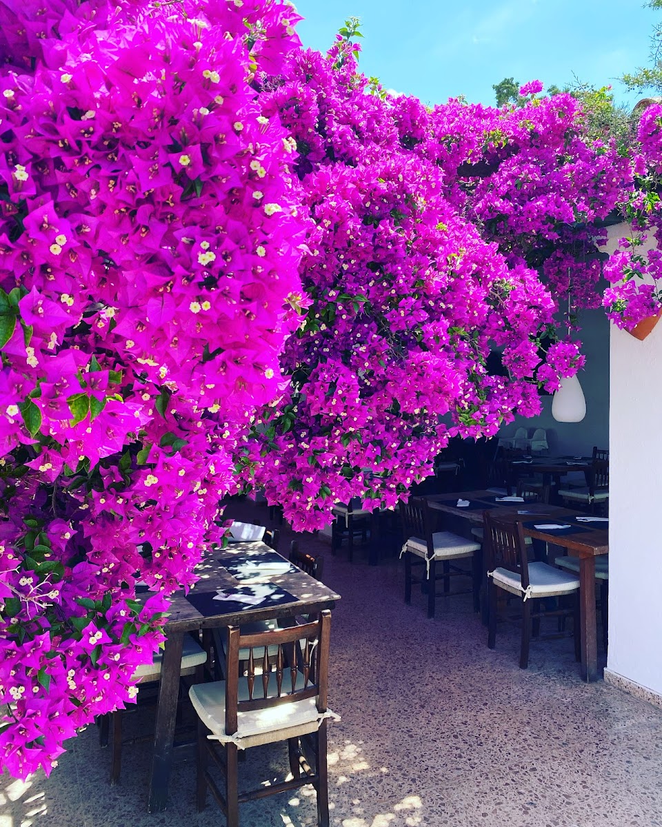 Restaurant Magon Photo 9