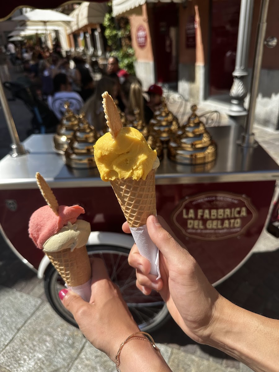 La Fabbrica del Gelato Photo 3