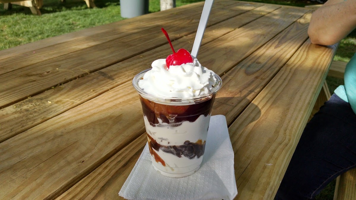 Skoops Ice Cream & Drive Thru Photo 5