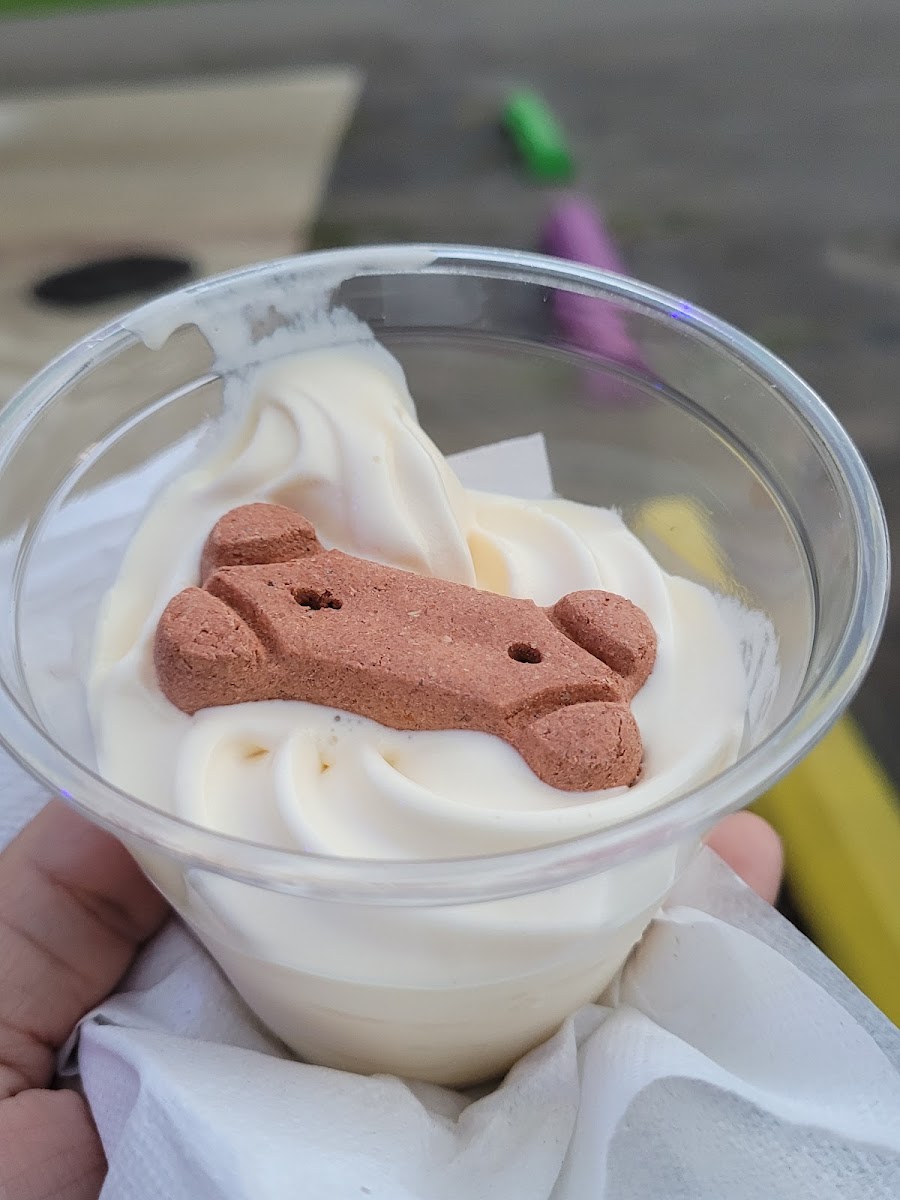 Polly's Ice Cream Photo 9