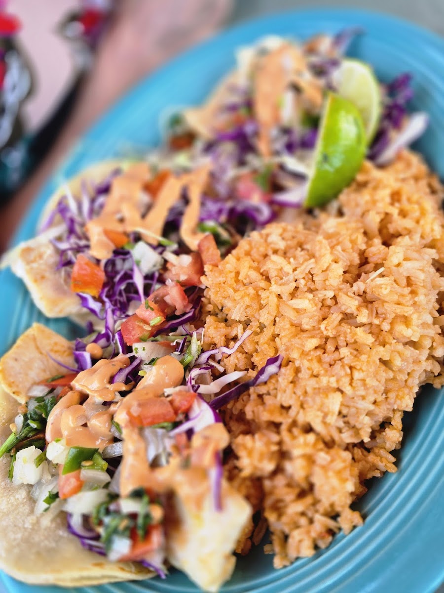 Tacos and Beer Photo 4
