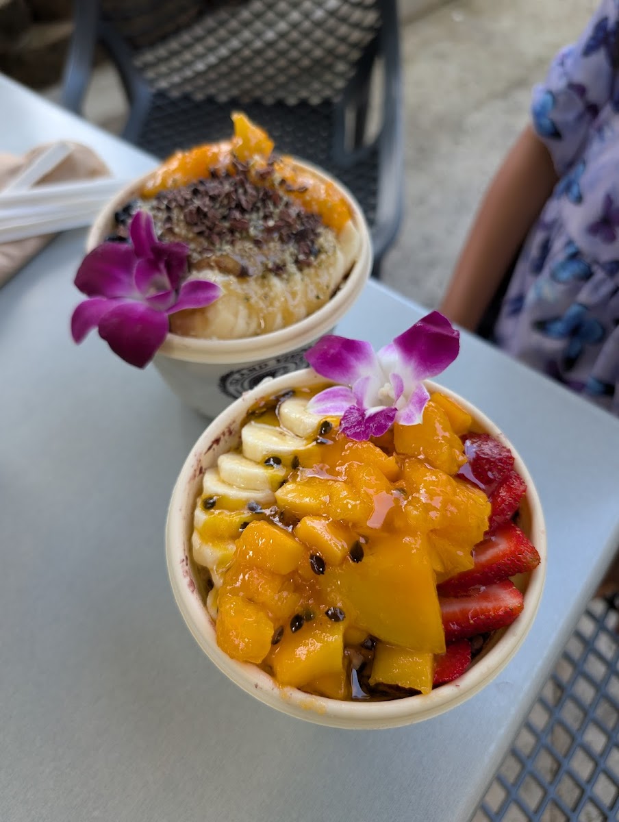 Island Vintage Shave Ice Photo 4