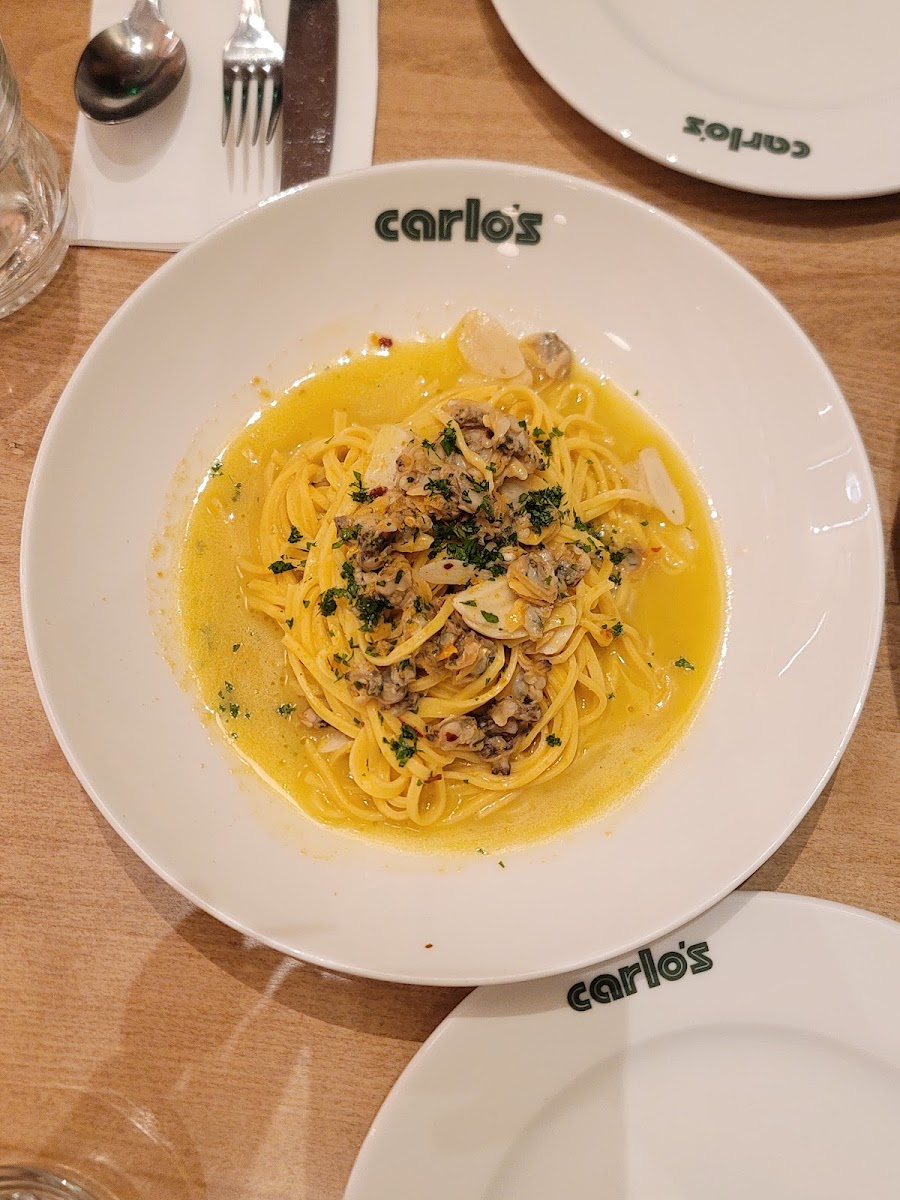 Carlo's Photo 8