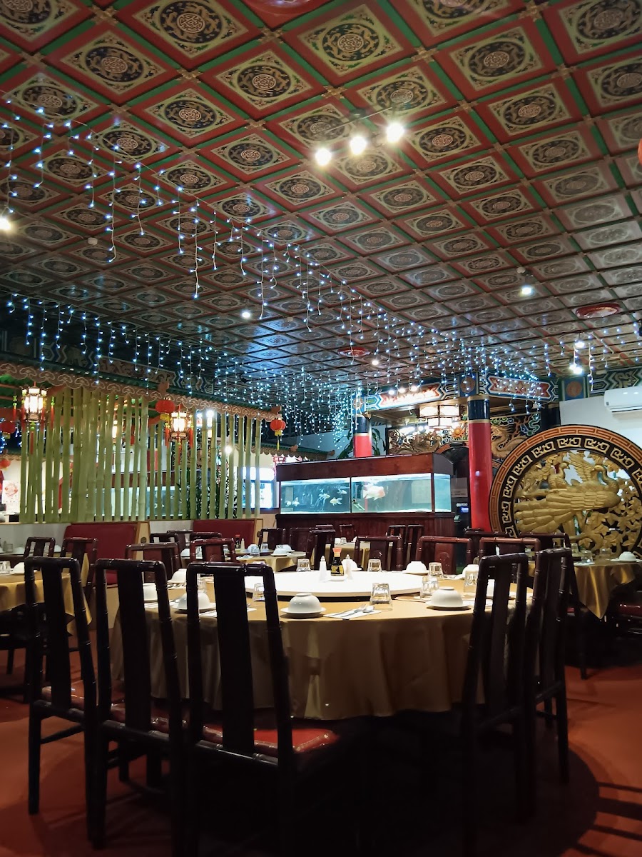 Tweed Heads Chinese Restaurant Photo 4