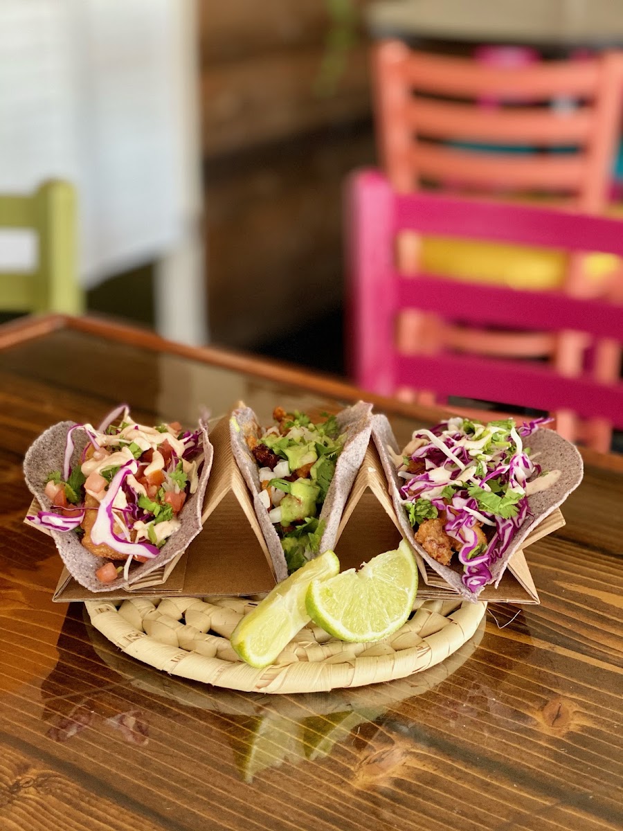 Casa Taco Bayfront Taqueria Photo 2