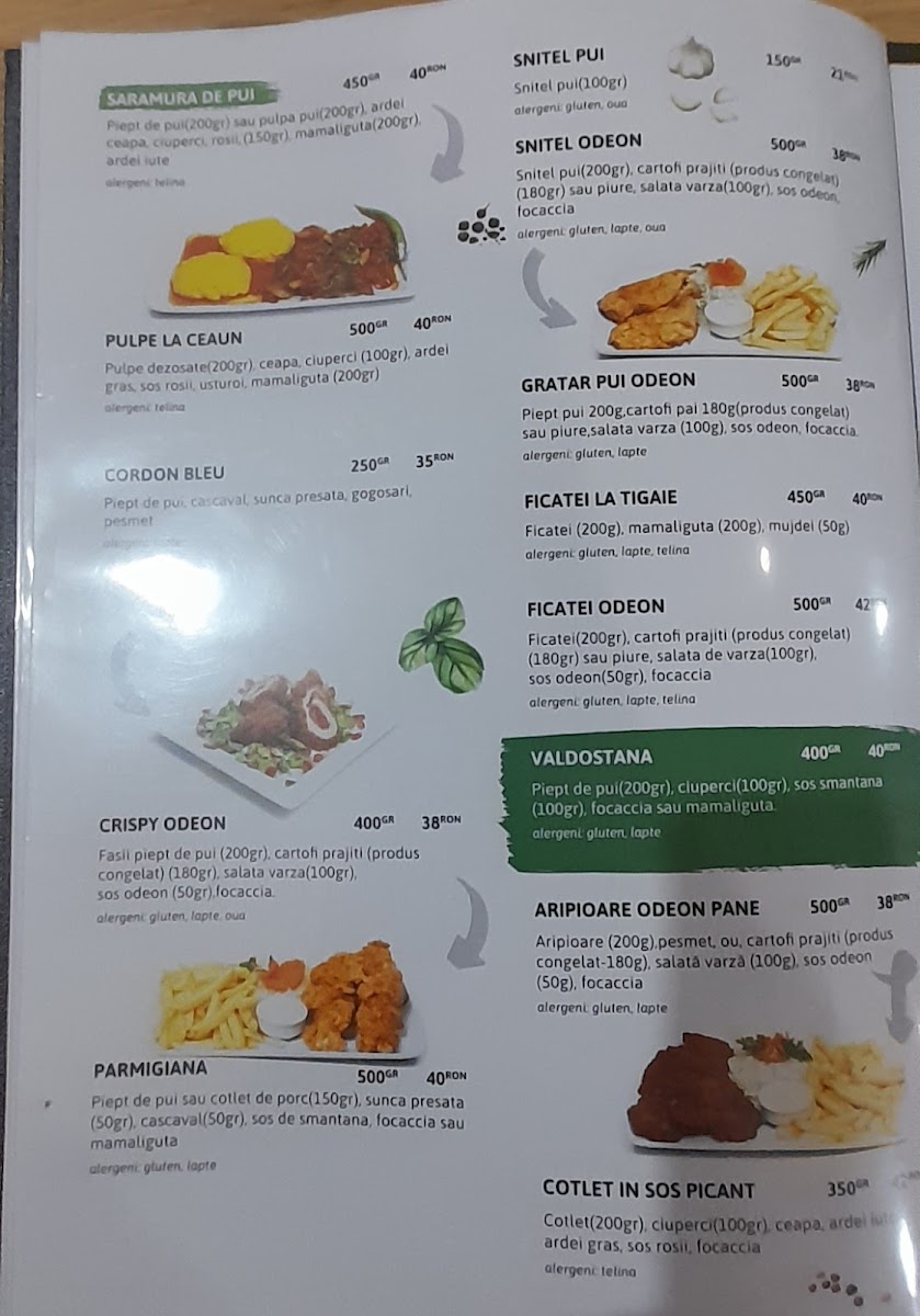 Restaurant Odeon Photo Menu 2
