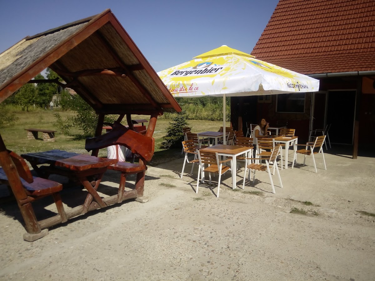 Bar/Vulcanizare •Salard•