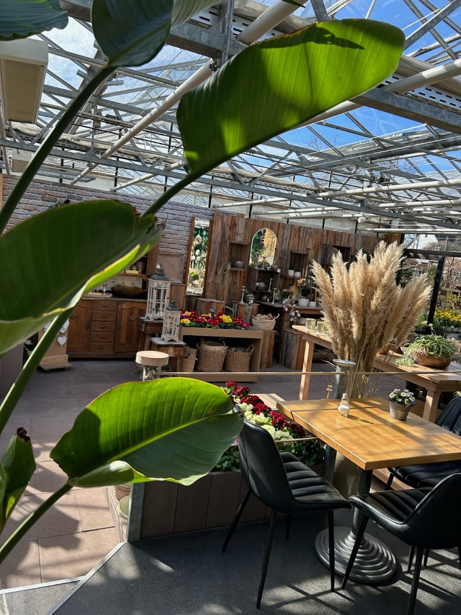 Café Gärtnerei Bechtel