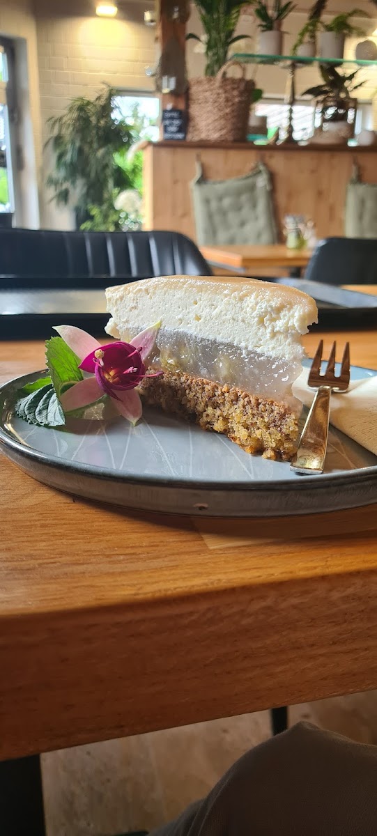 Café Gärtnerei Bechtel Photo 10