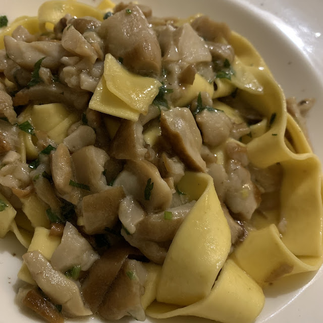 Porchini Mushrooms