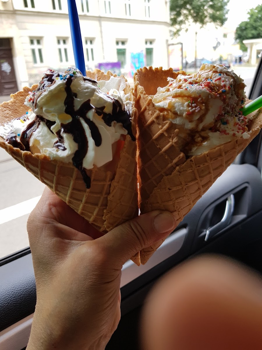 Softi to go Photo 2