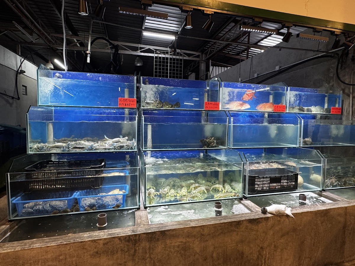 Northern Coastal Seafood Photo 3
