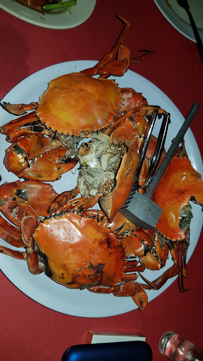Northern Coastal Seafood Photo 7