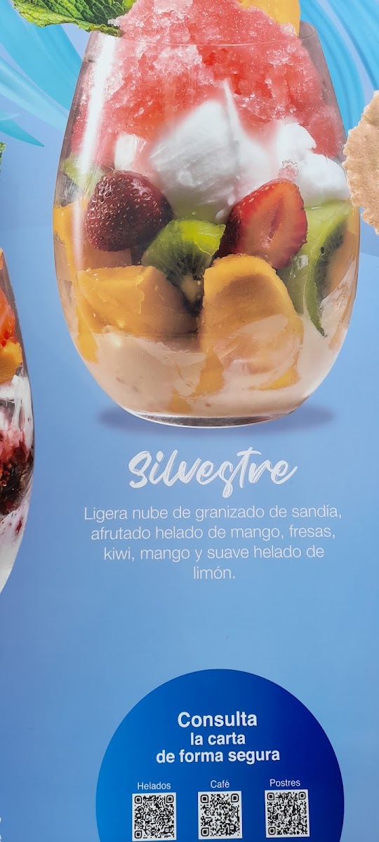 Ramon Sirvent Photo Menu 3
