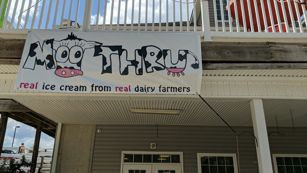 Moo Thru Lake Anna