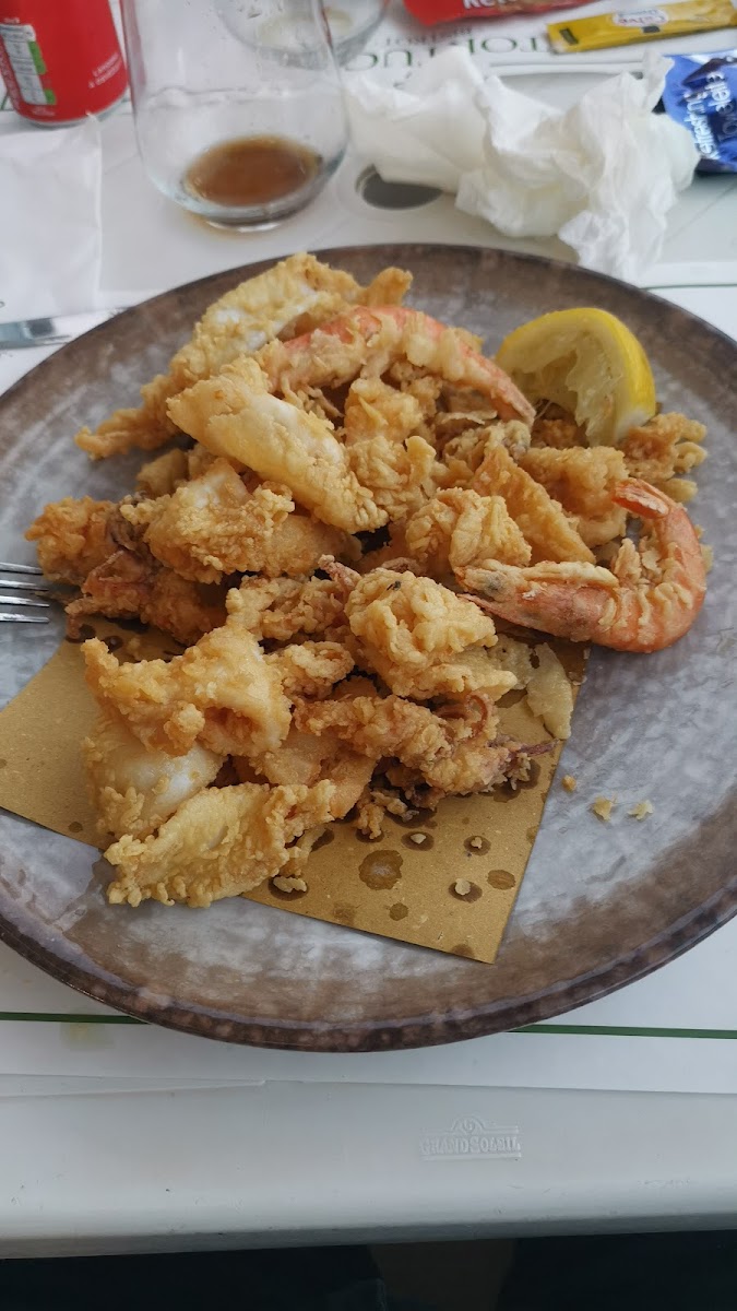 Tortuga Bistrot Marina di Cecina Photo 6