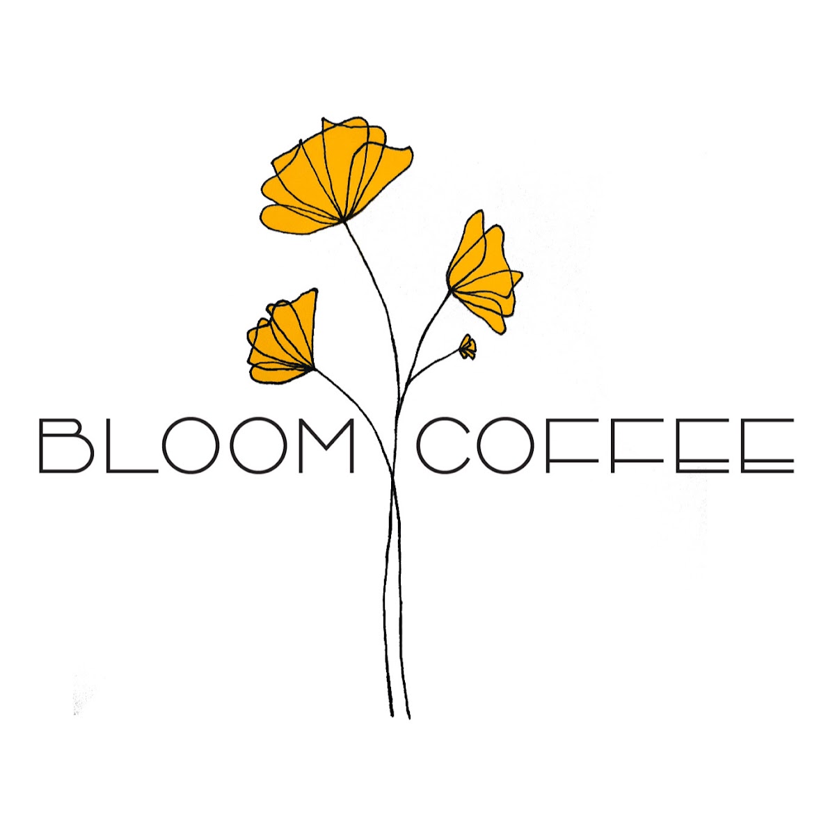 Bloom Coffee Photo 8