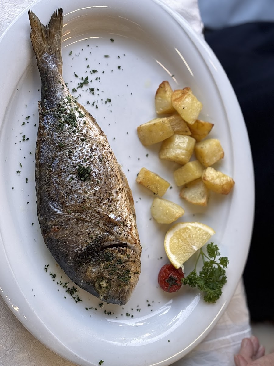 Ristorante Pizzeria San Remo Photo 8
