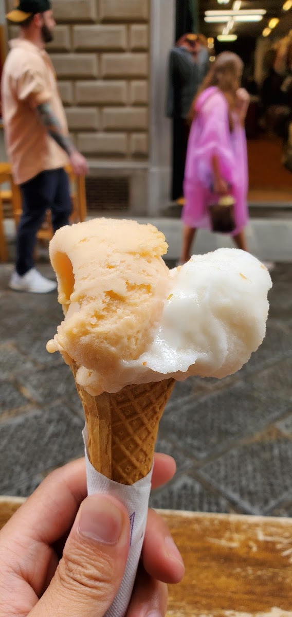 Antica Gelateria Fiorentina Photo 9