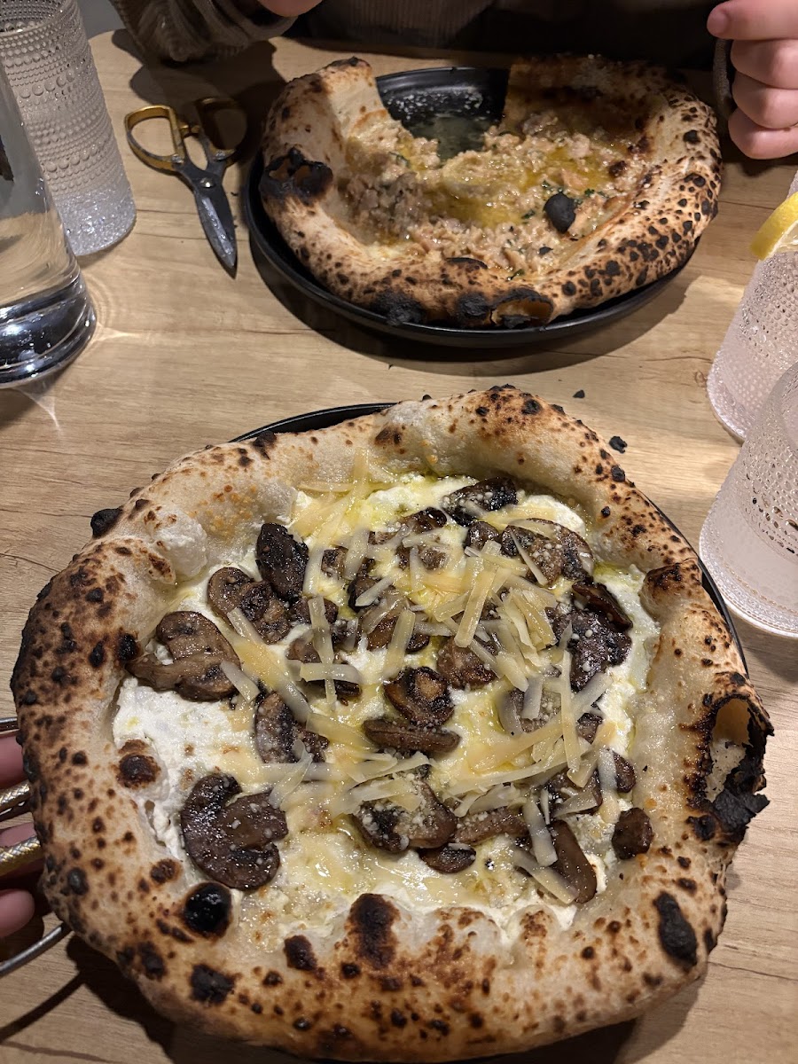 Leone’s Elverson, PA BYOB Photo 2