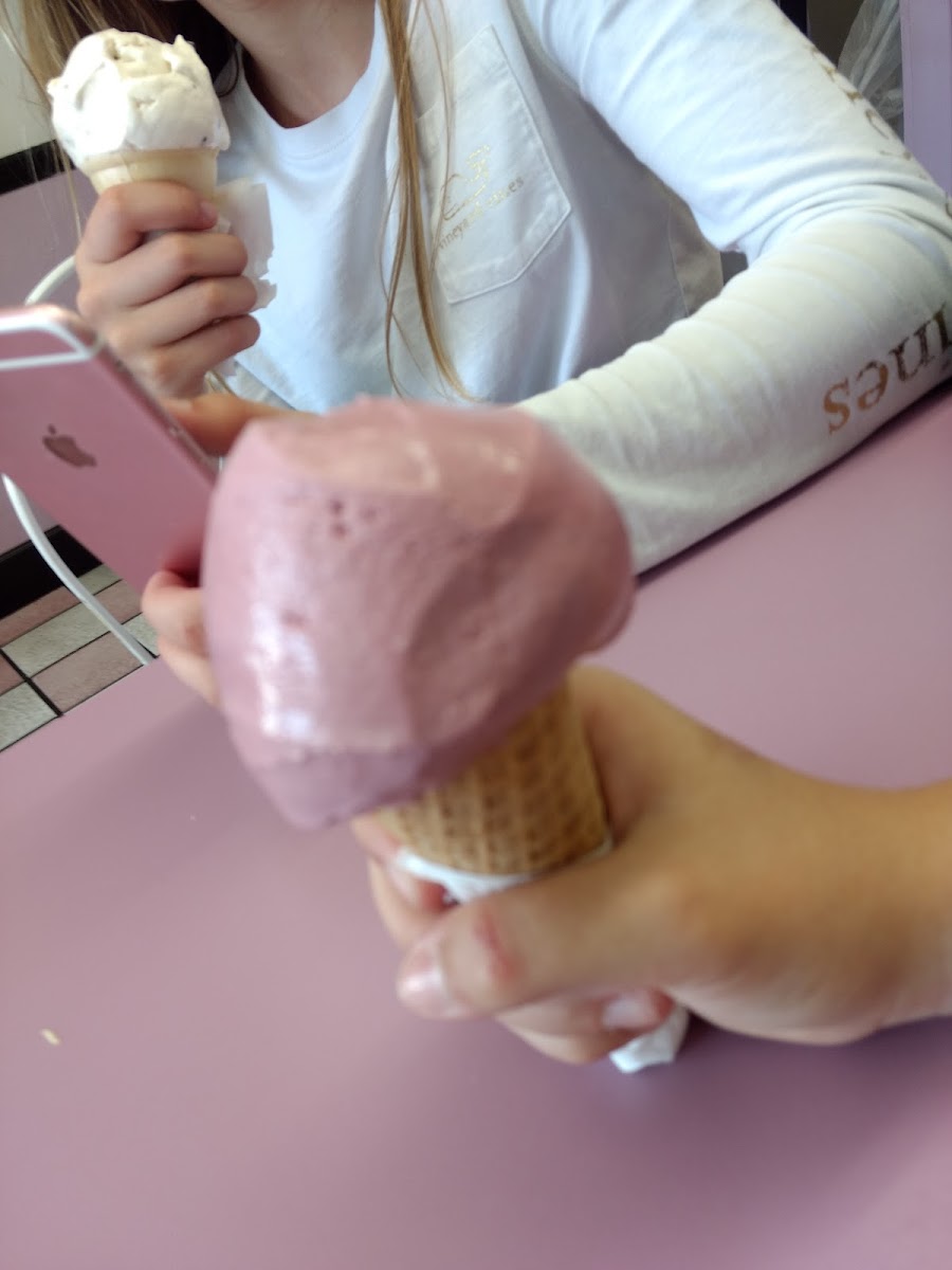 Big Olaf Creamery Photo 5