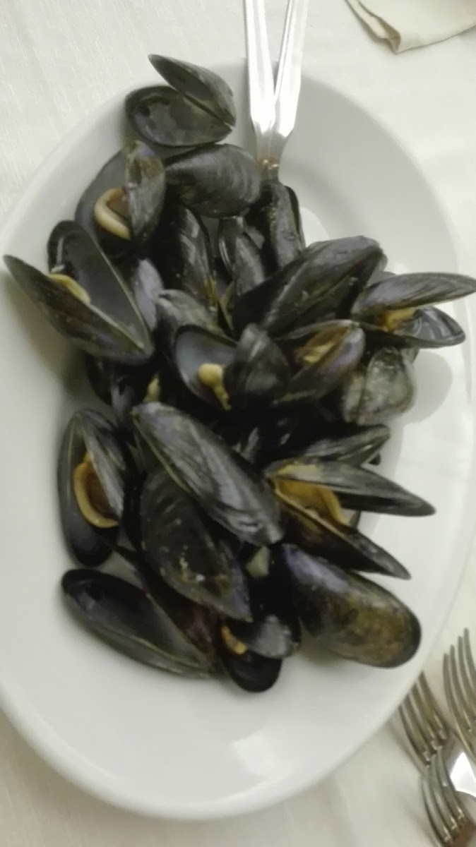 Ristorante Sirena di Sansica Girolamo Photo 9