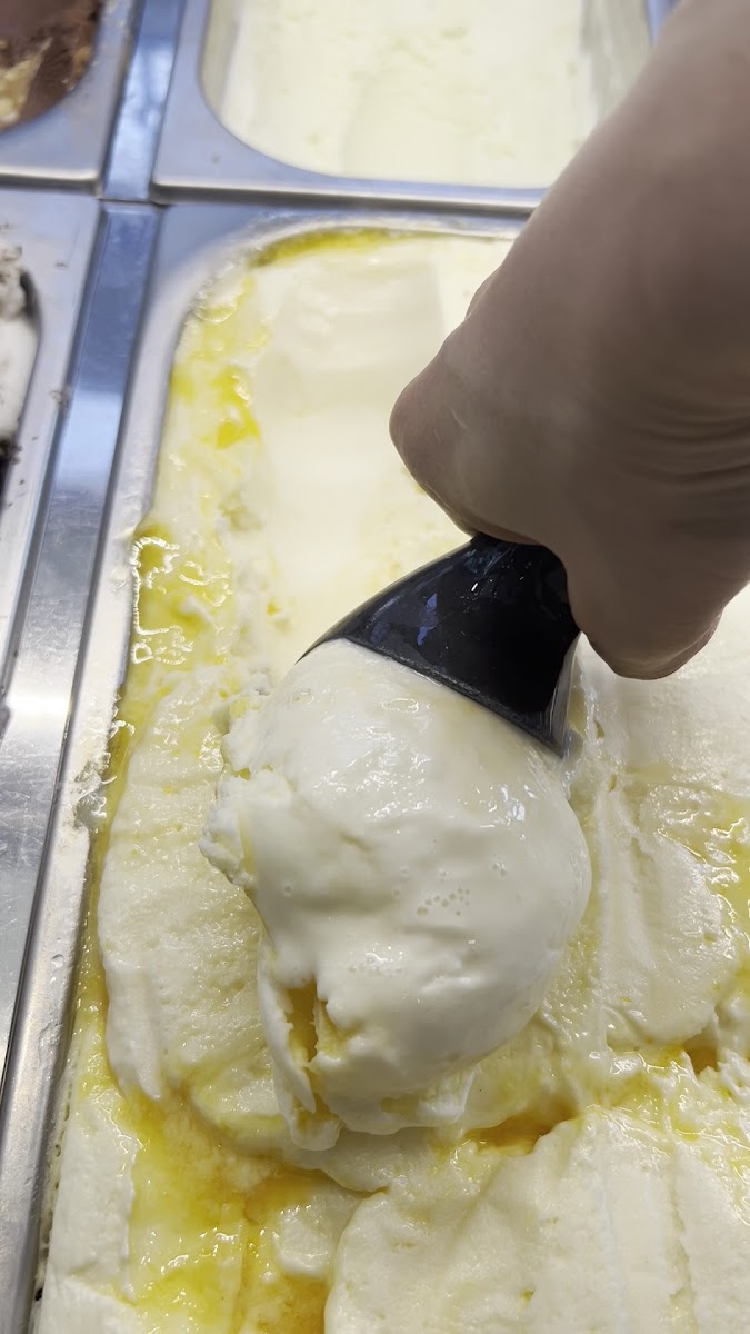 Sunny Ice Cream Photo 2