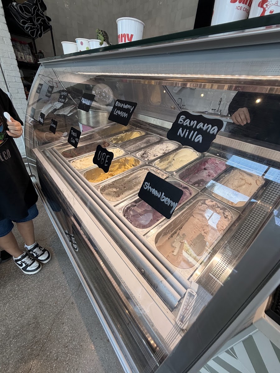 Sunny Ice Cream Photo 3