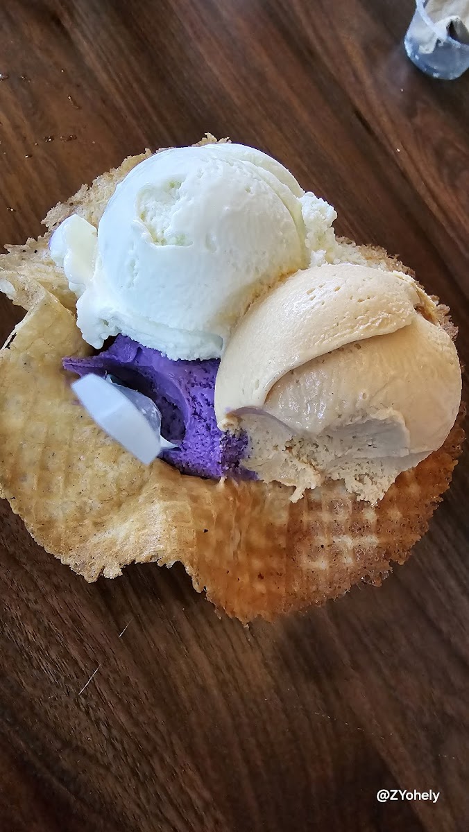 Sunny Ice Cream Photo 5