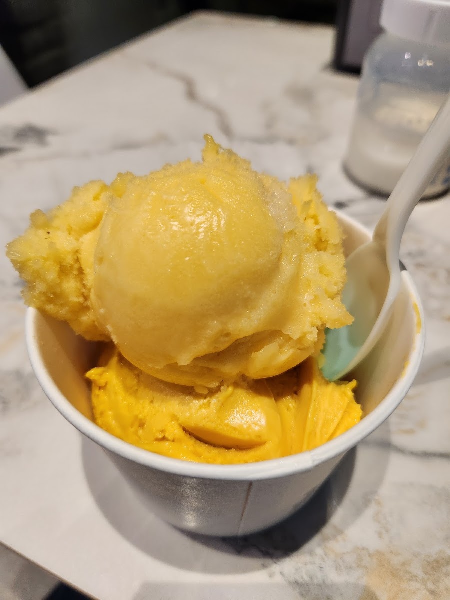 Sunny Ice Cream Photo 7