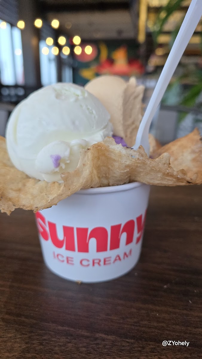Sunny Ice Cream Photo 8
